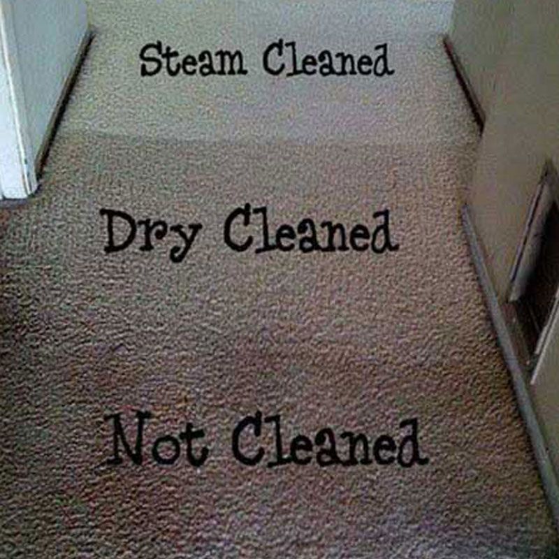 The Difference Between Steam Cleaning and Dry Cleaning
