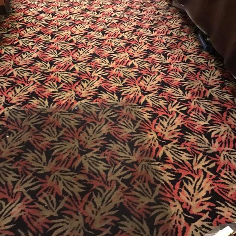 Safari Commercial Carpet Cleaning