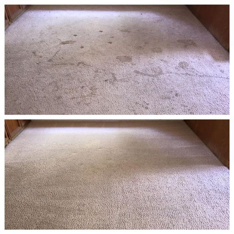 Carpet cleaning in Neufeld Before and After
