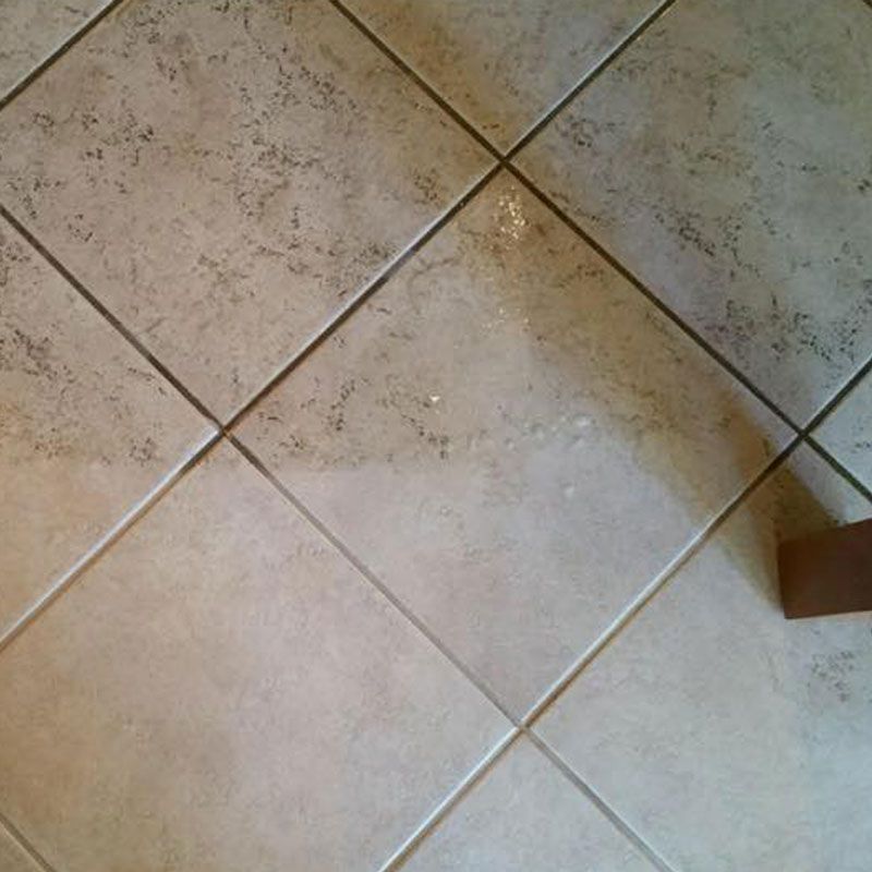Safari Tile and Grout Cleaning Before and After