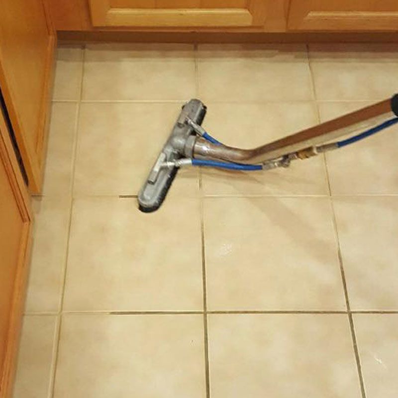 Our Gallery Safari Carpet Cleaning