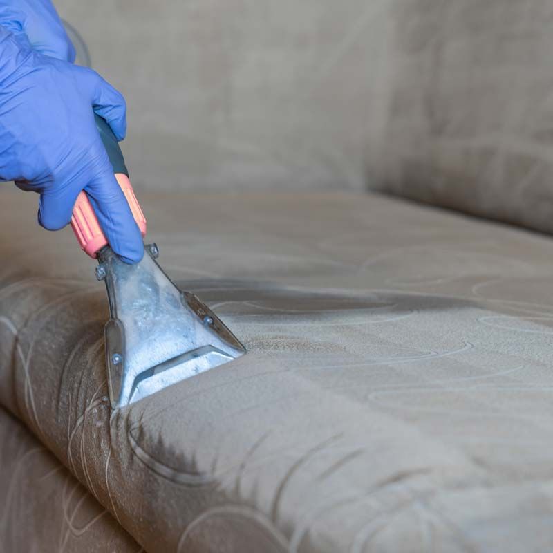 Upholstery cleaning in Bakersfield
