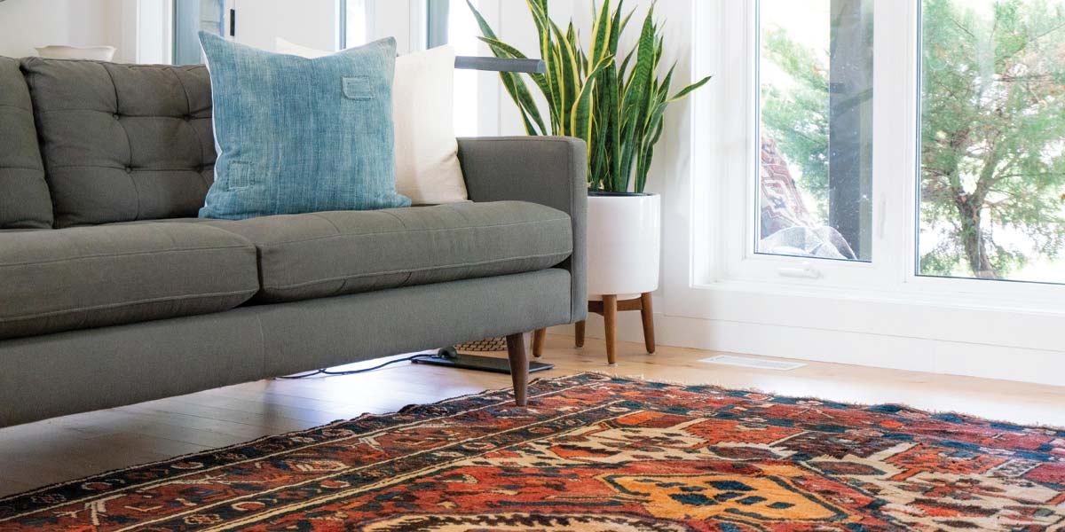 Allergies From Dirty Carpet Safari Carpet Cleaning